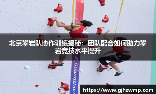 哈哈体育