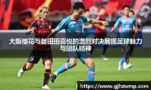 哈哈体育