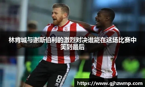 哈哈体育入口在线观看