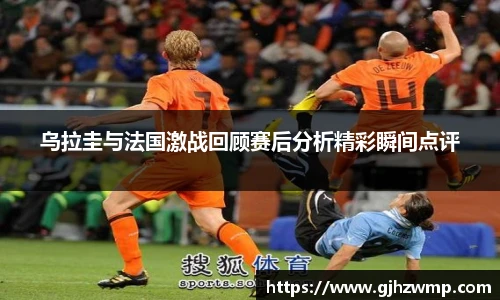 哈哈体育官网