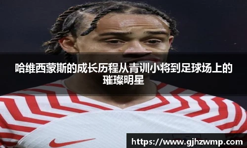 哈哈体育官网